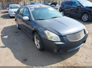  Salvage Nissan Maxima