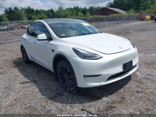  Salvage Tesla Model Y