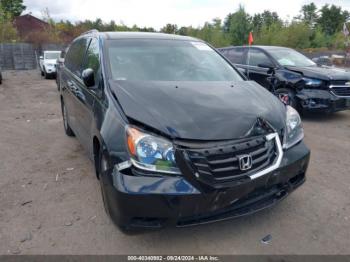  Salvage Honda Odyssey