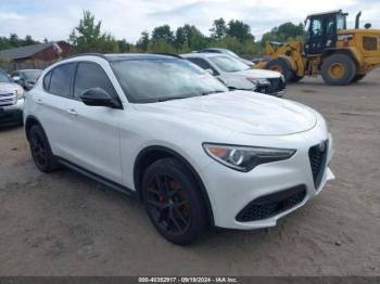  Salvage Alfa Romeo Stelvio