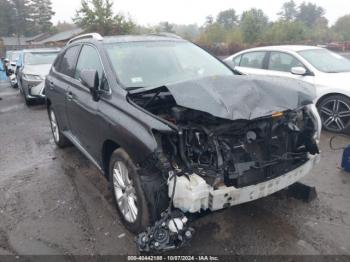  Salvage Lexus RX