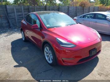  Salvage Tesla Model Y