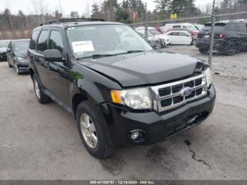  Salvage Ford Escape