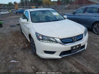  Salvage Honda Accord