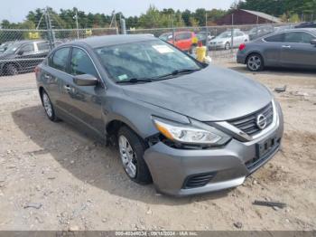  Salvage Nissan Altima