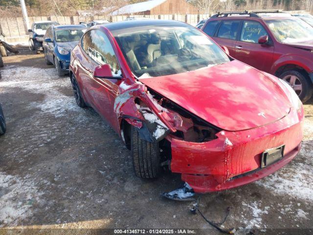  Salvage Tesla Model Y