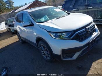  Salvage Honda CR-V