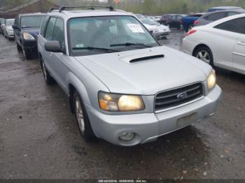  Salvage Subaru Forester