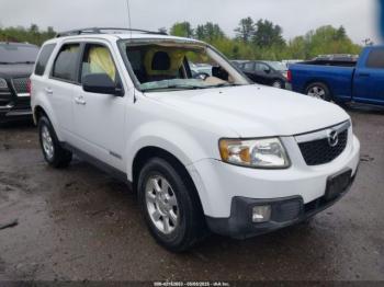  Salvage Mazda Tribute