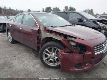  Salvage Nissan Maxima
