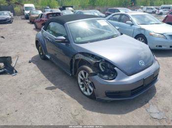  Salvage Volkswagen Beetle