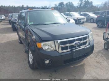  Salvage Ford Escape