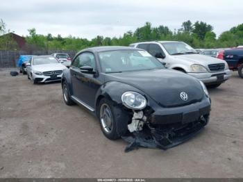  Salvage Volkswagen Beetle