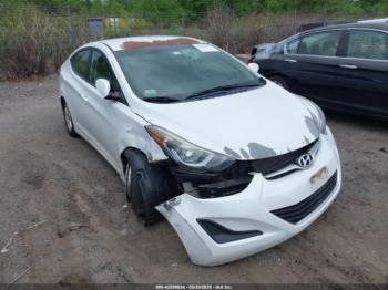  Salvage Hyundai ELANTRA