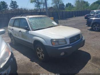  Salvage Subaru Forester