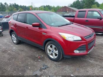  Salvage Ford Escape