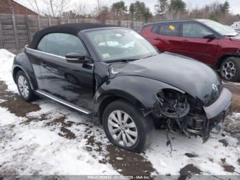  Salvage Volkswagen Beetle