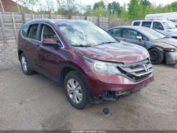  Salvage Honda CR-V