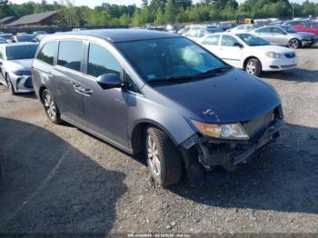  Salvage Honda Odyssey
