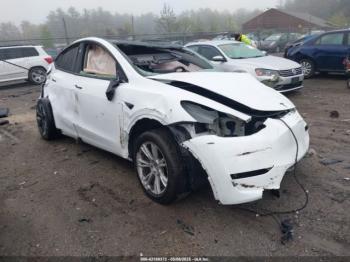  Salvage Tesla Model Y