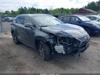  Salvage Lexus NX
