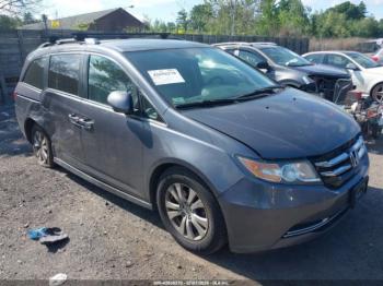  Salvage Honda Odyssey