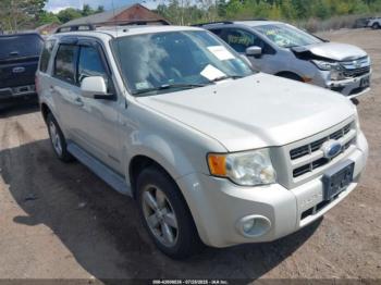  Salvage Ford Escape