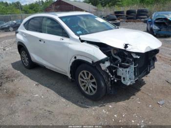  Salvage Lexus NX
