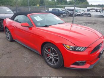  Salvage Ford Mustang