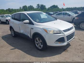  Salvage Ford Escape