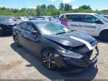  Salvage Nissan Maxima