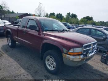  Salvage Dodge Dakota