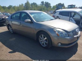 Salvage Nissan Maxima