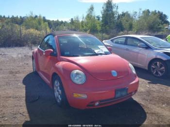  Salvage Volkswagen Beetle