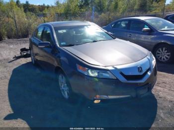  Salvage Acura TL