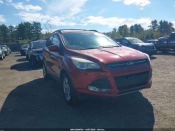  Salvage Ford Escape