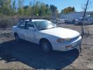 Toyota Camry Image 1