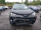 Toyota RAV4 Xle Image 9