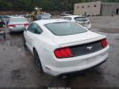 Ford Mustang Ecoboost Premium Fastback Image 3