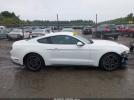 Ford Mustang Ecoboost Premium Fastback Image 10