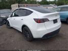 Tesla Model Y Image 2