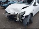 Tesla Model Y Image 4
