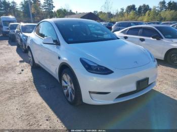  Salvage Tesla Model Y
