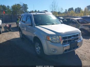  Salvage Ford Escape