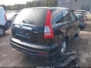 Honda CR-V Ex Image 7