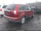 Honda CR-V Ex Image 3