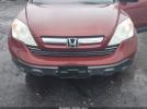 Honda CR-V Ex Image 7