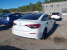 Honda Civic Sport Image 2
