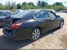 Honda Accord Ex-l Image 15