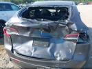 Tesla Model Y Image 2